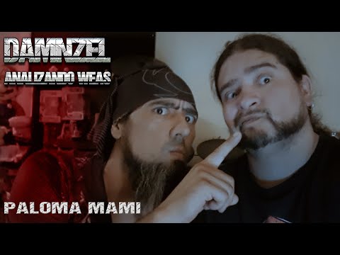 Analizando Weas - Paloma Mami - Not Steady