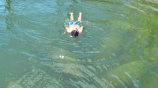 preview picture of video 'Swimming with Manatees in Gulf Harbors North Channel in New Port Richey, Florida'