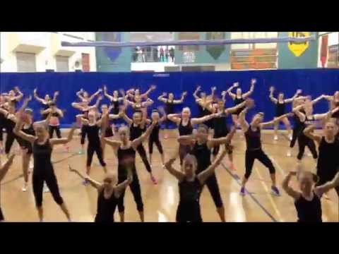 2014 Australian Aerobic Gymnastics Championships