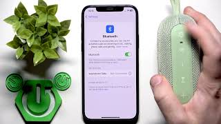 SOUNDCORE Select 4 Go – How to Soft Reset Speaker