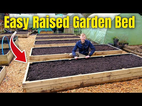 How To Build A Raised Garden Bed - Cheap And Easy | Gardening For Beginners