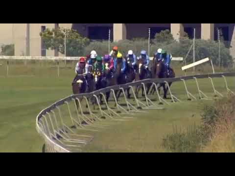 CAPTAIN`S RANSOM - 2021 Majorca Stakes Grade 1