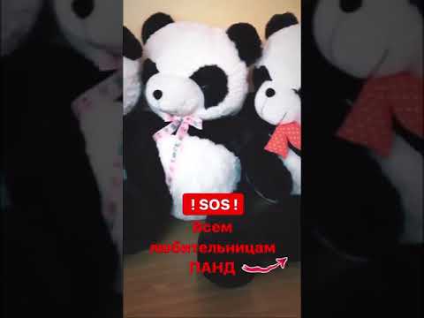 Плюшевая Панда И Ее Хозяйка
