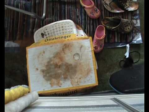 FKK Solaris Juli 2010