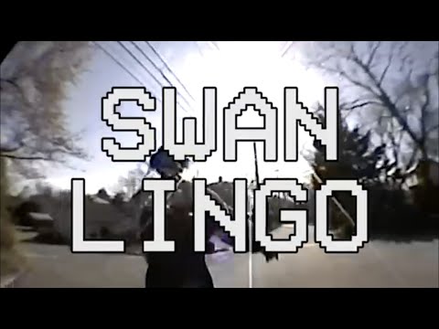 Swan Lingo - 96.3 (Official Music Video)
