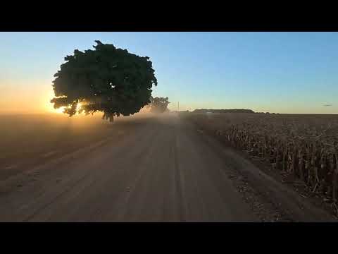 Fazenda Ernest Milla, Baixa Grande do Ribeiro-PI EP 230-2026