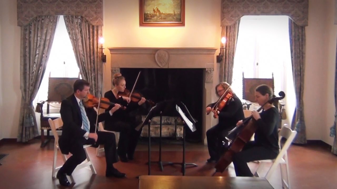 Promotional video thumbnail 2 for Gabriel's Horns Live Wedding Musicians
