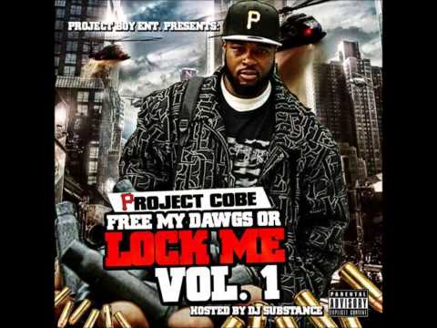 Project Cobe-Heart of a lion