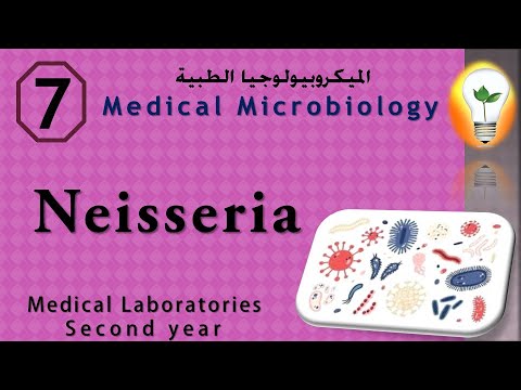 Medical Microbiology 0 introduction نظرة عامة ومقدمة لعلم الميكروبيولوجي