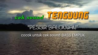 Download lagu cek sound TENGDUNG 'PESISIR BALONGAN' karaoke adem bass empuk mp3