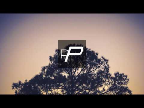 Niko Schwind Feat. Lil' Magdalene - Over The Trees [Original Mix]