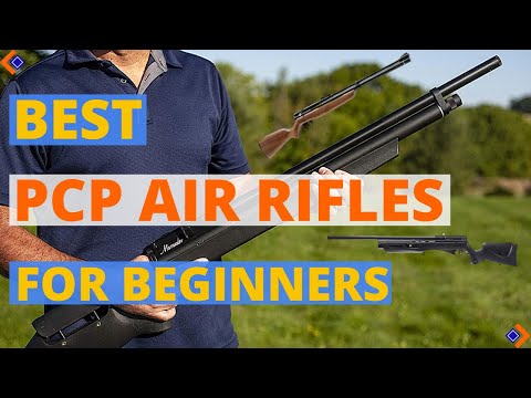6 Best PCP Air Rifles for Beginners 2023 | Best Air Rifles 2023