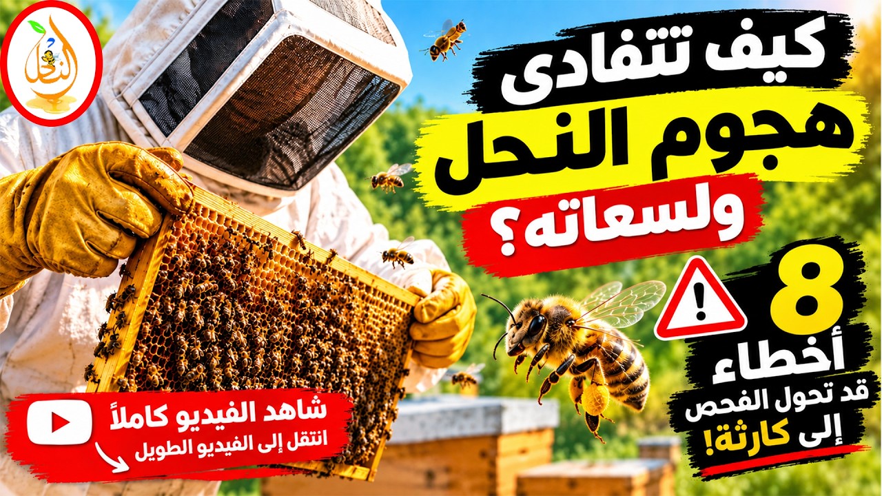 لا تفعل هذه الأخطاء الـ8 عند فحص الخلية! وإلا هاجمك النحل 🐝