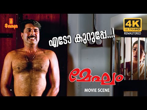 "ഞാൻ കണ്ടു.. കൂടെ ആരാ..?" | Mammootty | Priya Gill | Nedumudi Venu | Cochin Haneefa | Megham