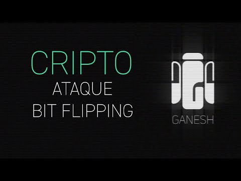 Ping 2021: Aula 0x10 (Parte 1) - Ataque Bit Flipping
