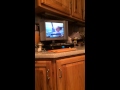 He Doesn T Like It AFV Gone Wrong