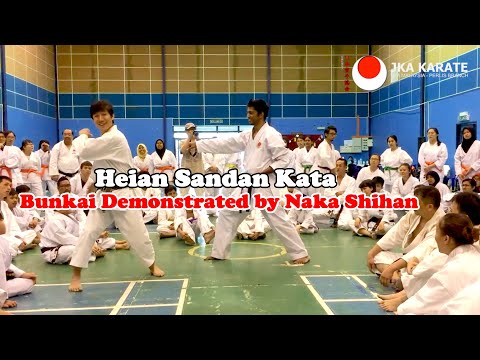 Heian Sandan Kata Bunkai demonstrated by Naka Shihan