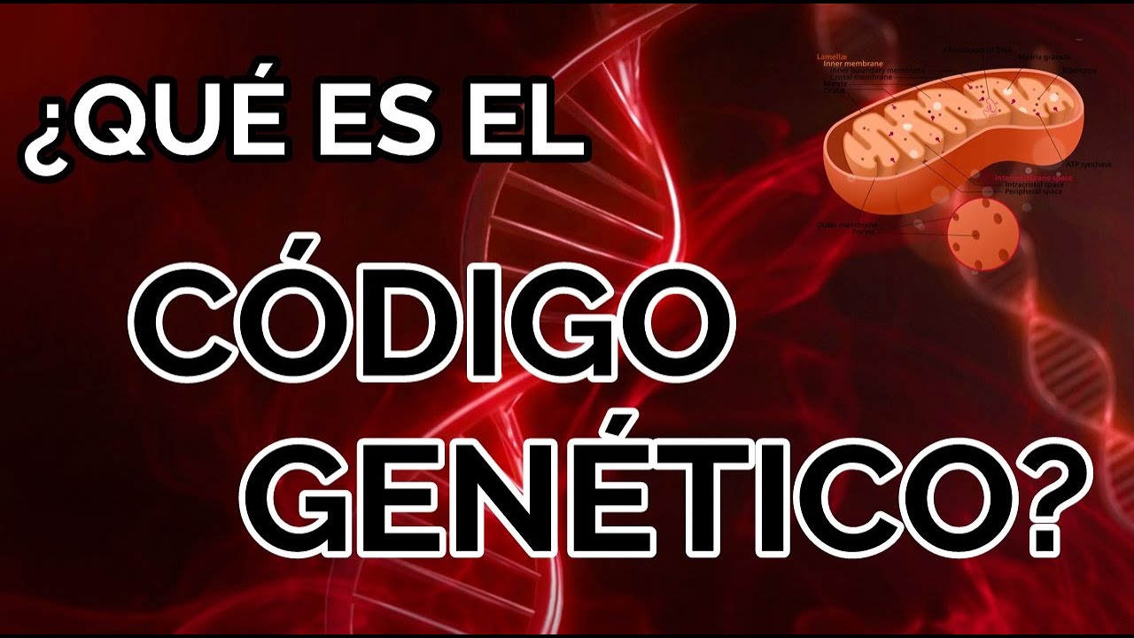 ¿Qué es el código genético? ¿Y el ADN?
