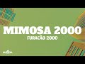 Mimosa 2000 - Furacão 2000 (Lyrics)