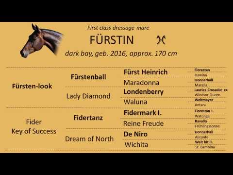 FOR SALE! - 3 years old hanoverian dressage mare