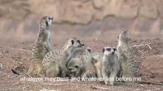 Worship Africa - New Generation - 10 000 Reasons