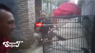 Download lagu Video gagal ngonten bareng Mc Depri host konser #april  mp3