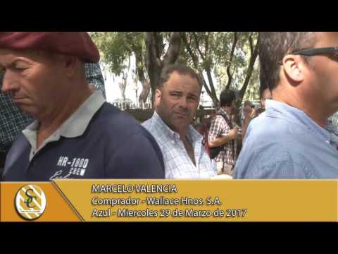 29-03-17 Nota Marcelo Valencia - Wallace Hnos. S.A. - Azul