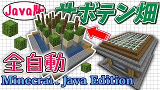 【マイクラJava版1.16/1.17+】「全自動サボテン畑」初心者でも簡単に作れる便利施設！染料ゴミ箱トロッコ回収駅もこれでバッチリ！【Minecraft Java Edition】マイクラ便利装置