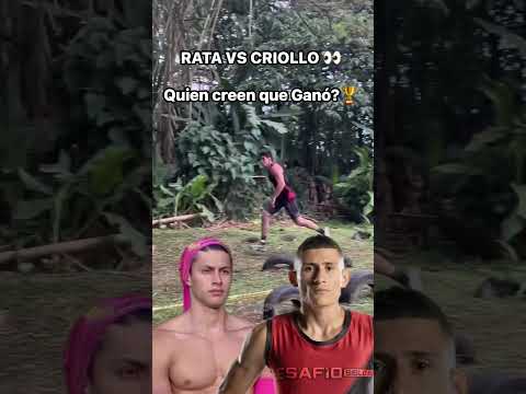 RAT VS CREOLE competition #colombia #caracoltv #desafiodelsiglo21 #desafio2025 #viral #shorts #fy