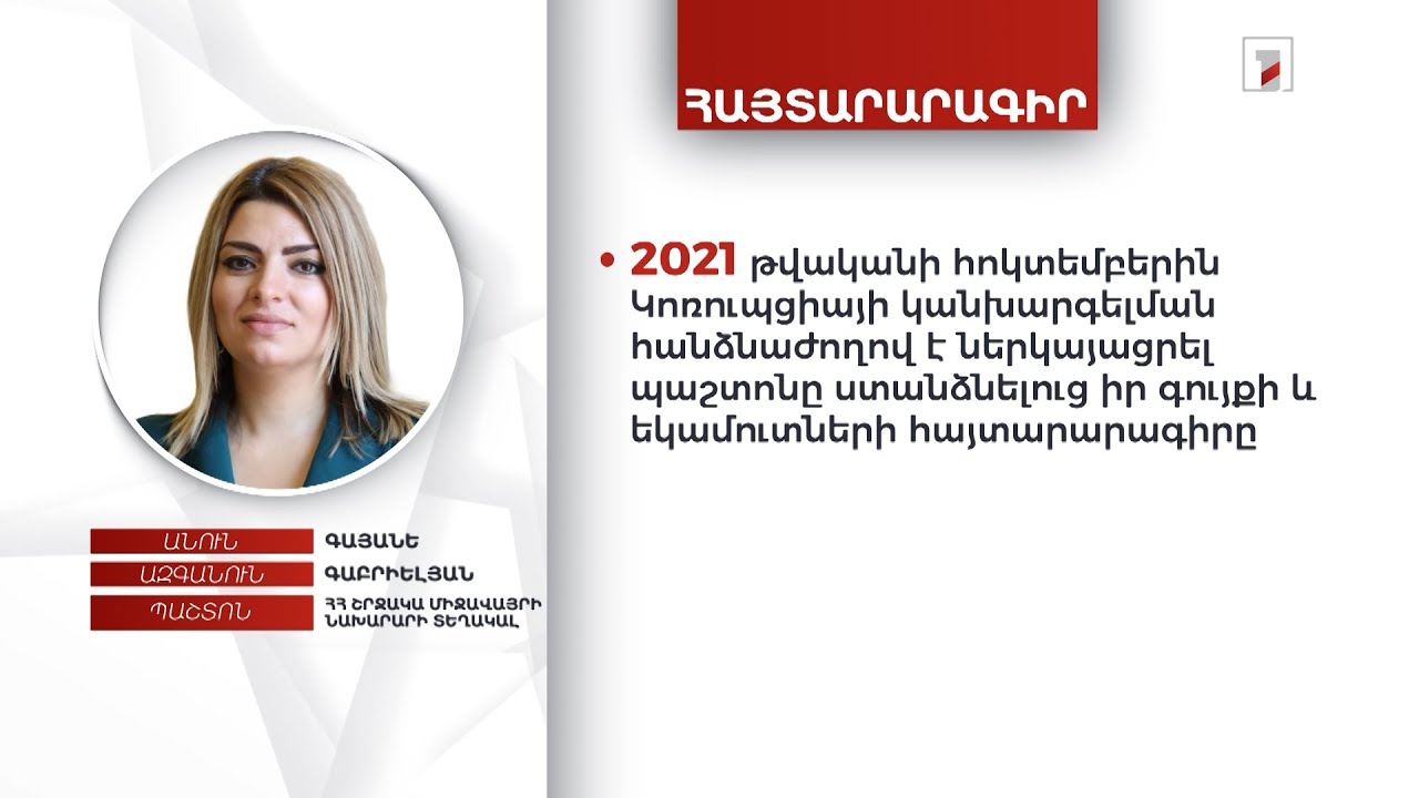 1 անշարժ գույք, ավտոմեքենա, 9 մլն դրամ. շրջակա միջավայրի փոխնախարար Գայանե Գաբրիելյանի հայտարարագիրը