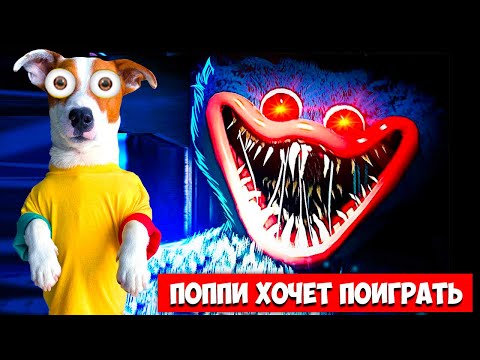 Фото Poppy Play Time Chapter 1 ► Прохождение игры (Глава 1) + концовка