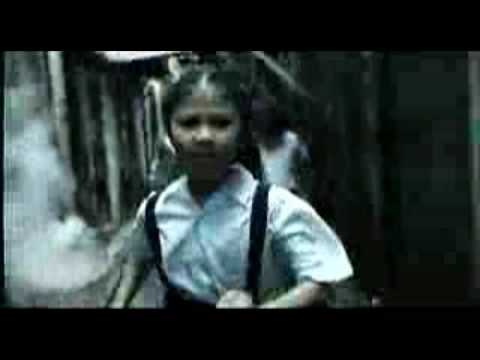 Nova International - Swirled