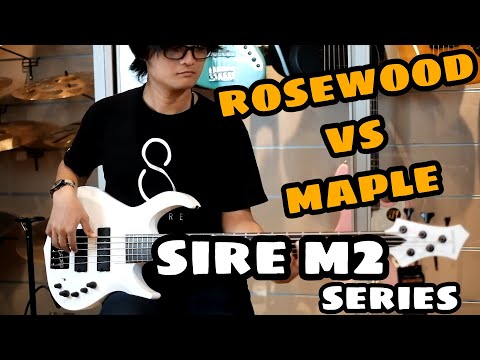 Sire Bass M2 2nd Generation Sound Sample - Rosewood vs Maple