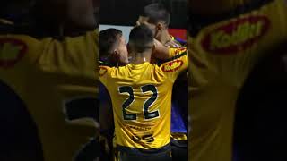 HAT TRICK DO ROBSON! É MAIS UM GOL DO NOVORIZONTINO CONTRA O PALMEIRAS! 🐯🔥