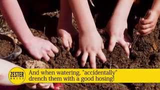 Zester&#39;s Tips to Get Children Gardening