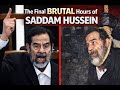 The Final BRUTAL Hours Of Saddam Hussein