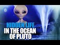 Hidden Life In The Ocean Of Pluto