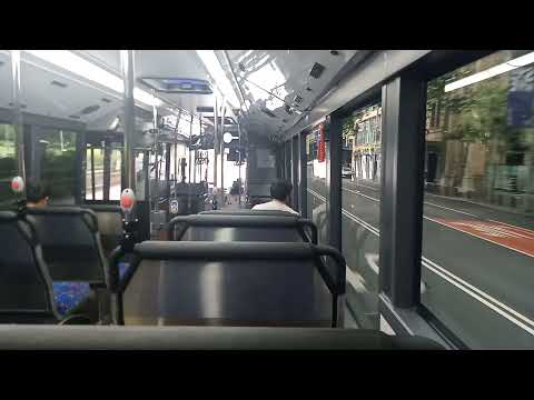 Transit Systems - 8227 - Mercedes 0500LE/Gemilang Ecocity[Leichhardt](438x - Abbotsford)