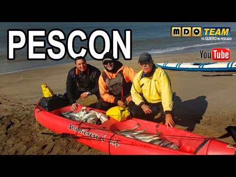 Programa 130 MDQ-Team Tv | PESCON DE INVIERNO A FLOTE Y FONDO