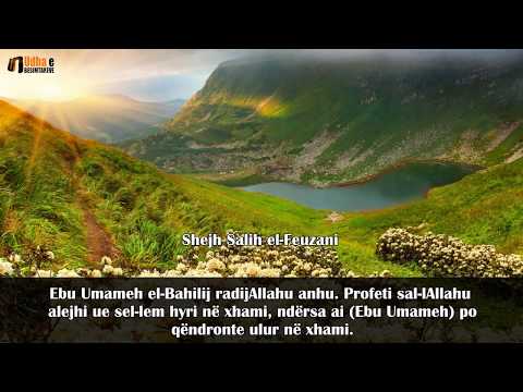 LUTJA PËR LARGIMIN E SHQETËSIMIT DHE SHLYERJEN E BORXHIT - Shejh Feuzani