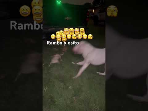 30 de agosto de 2025