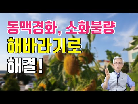 , title : '113. 동맥경화, 소화불량에 탁월한 해바라기｜건강백과'