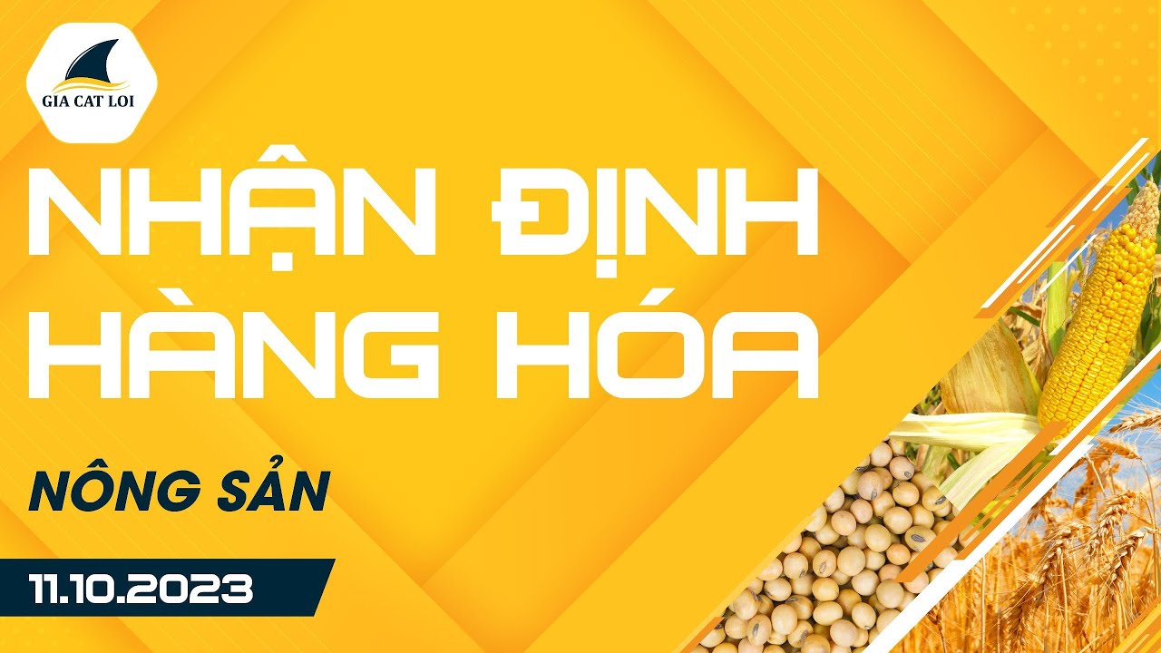 Nhận Định Hàng Hoá Nông Sản Ngày 11/10/2023