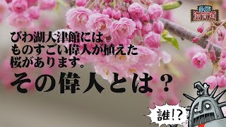 びわ湖大津館に桜を植えた「ものすごい偉人」とは？：クイズ滋賀道