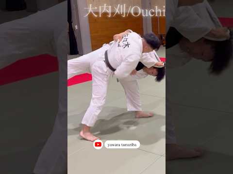 大内刈り！釣り手引き手共に崩しがかっちり決まり逃げられない！#柔道 #乱取稽古 #柔のたまり場
