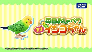 お掃除ロボットを乗りこなして犬を威嚇するインコ / 家電と動物たち のサムネイル