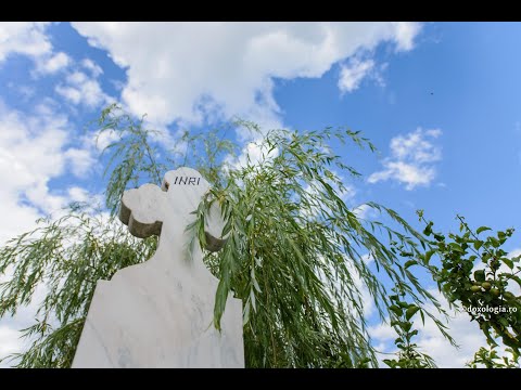 Cum va fi la A Doua Înviere a Domnului?