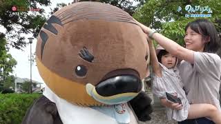 2026/10/8放送・知ったかぶりカイツブリにゅーす