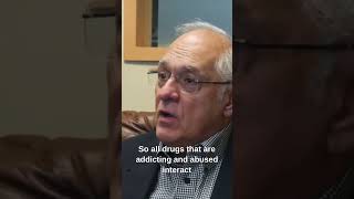 How does Cannabis affect Brain chemistry? 🧠🌿 (Real shit)