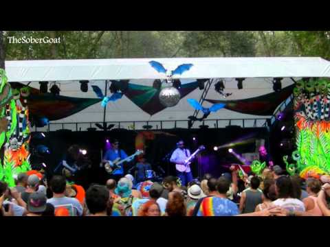 The Heavy Pets - Hulaween 2015
